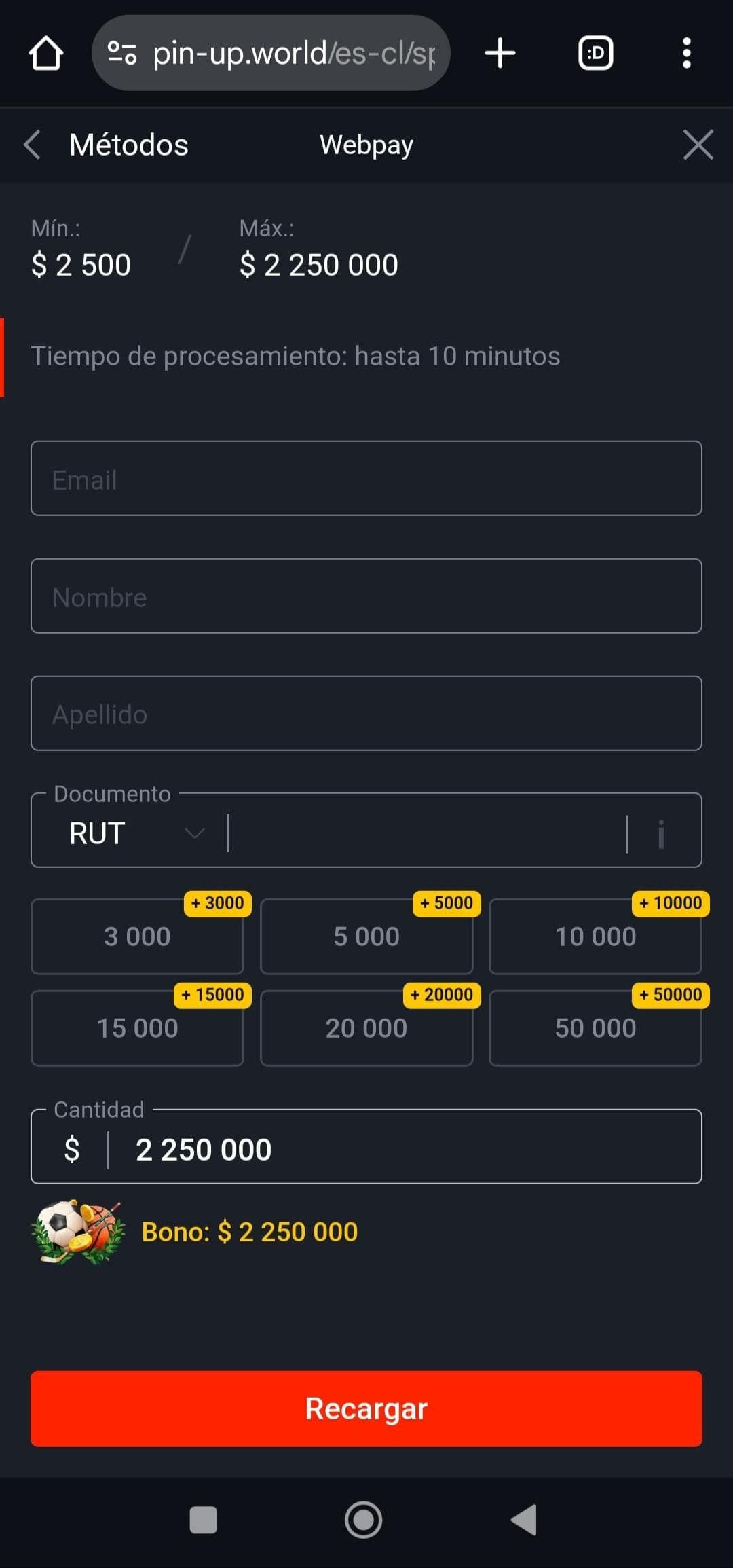 Completa el formulario PIN UP Bonus.jpg