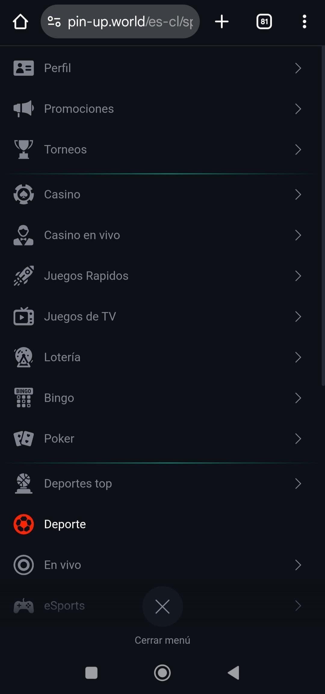 Experiencia móvil en Pin-up.jpg