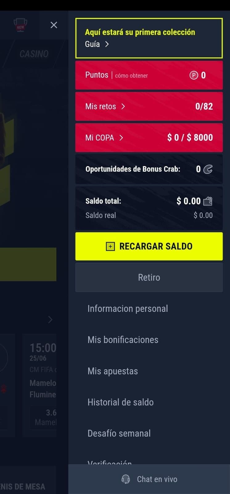 Haz clic en “Recargar saldo” desde el menú superior.jpg