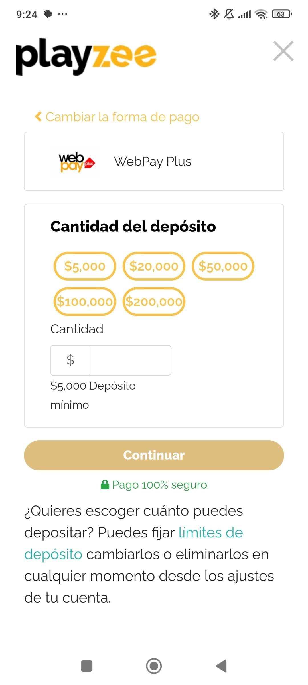 Ingresa el monto deseado.jpg