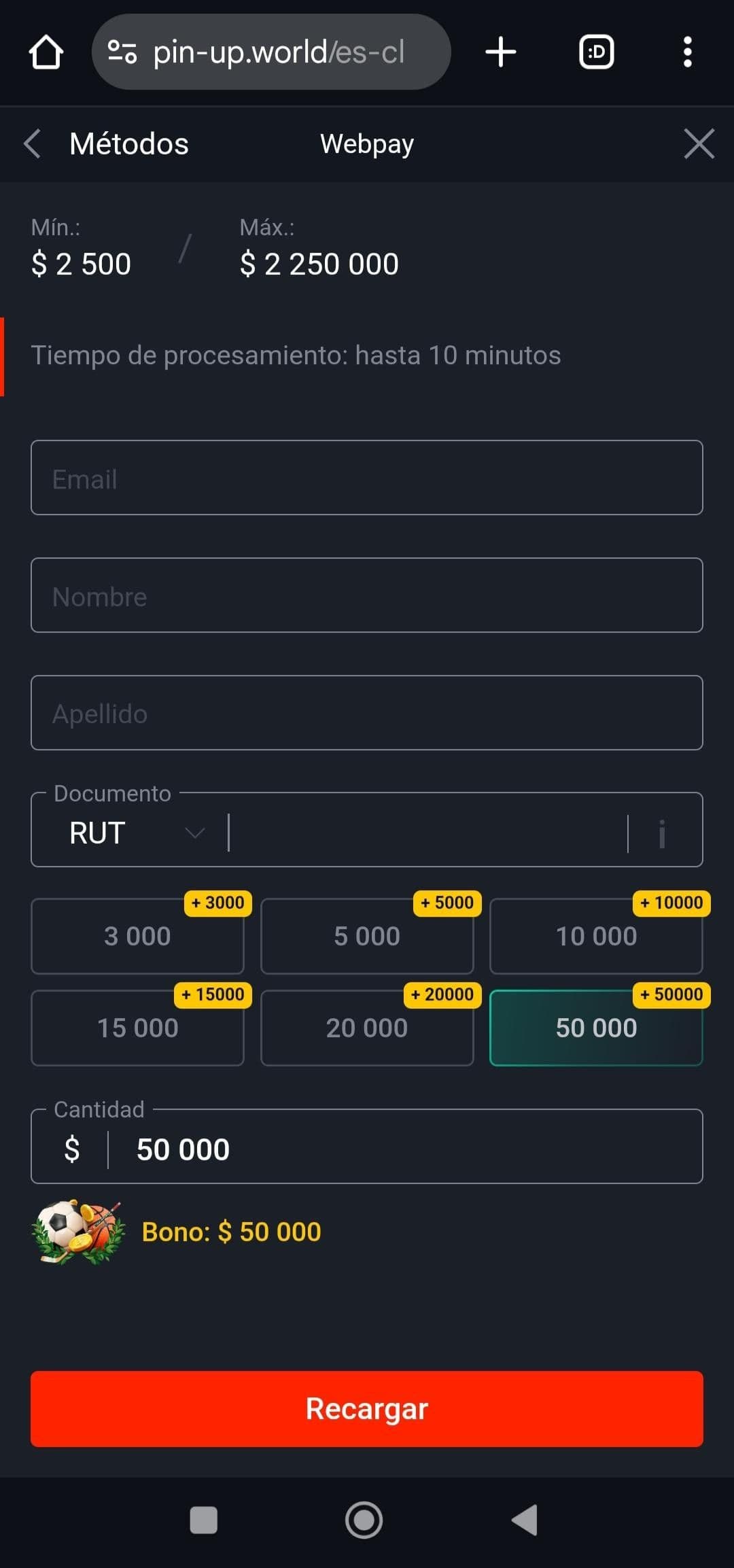 Ingresa el monto y tus datos.jpg