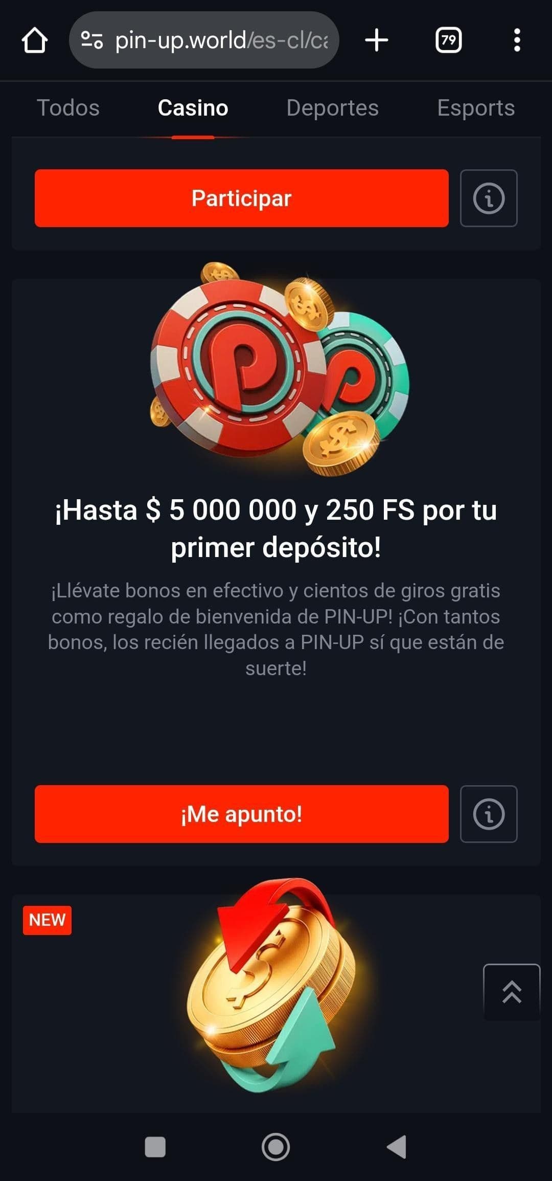 Hay un bono de bienvenida para deportes y casino en Pin-up 2.jpg